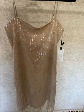 Astr Nude Sequin Slip Dress